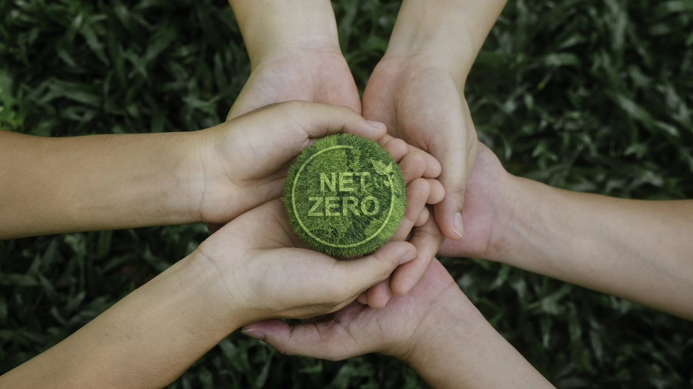 Pathway to Net Zero Business Support