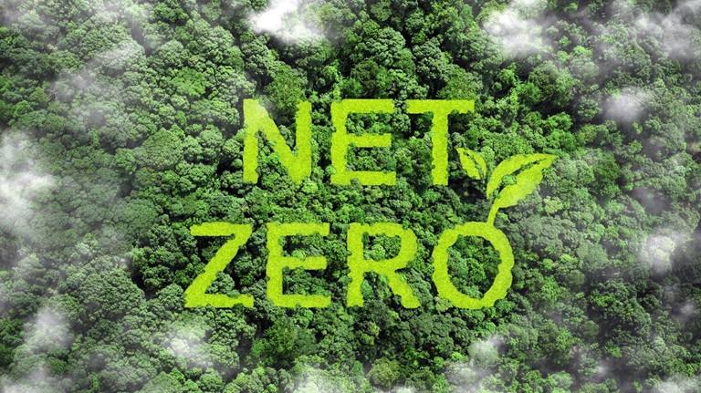Note Zero Net Zero Training Hub | Enterprise Nation