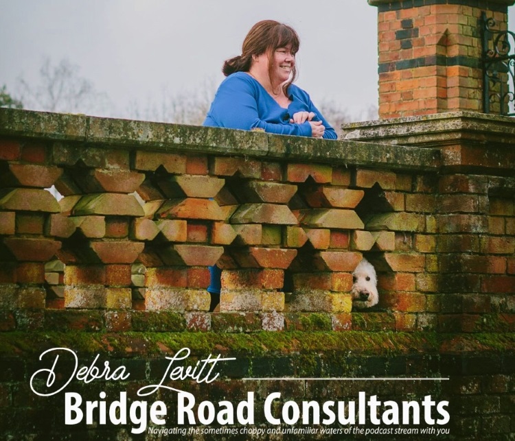 Debra Levitt, Bridge Road Consultants
