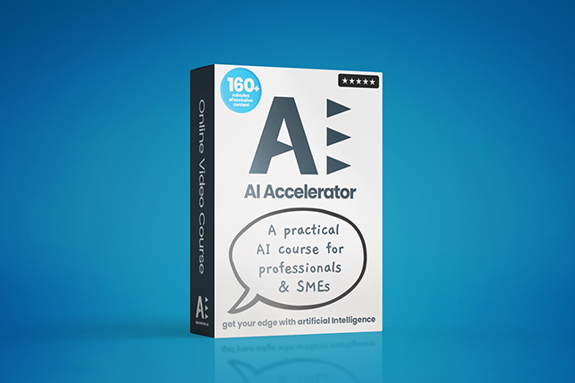 AI Accelerator Online Course