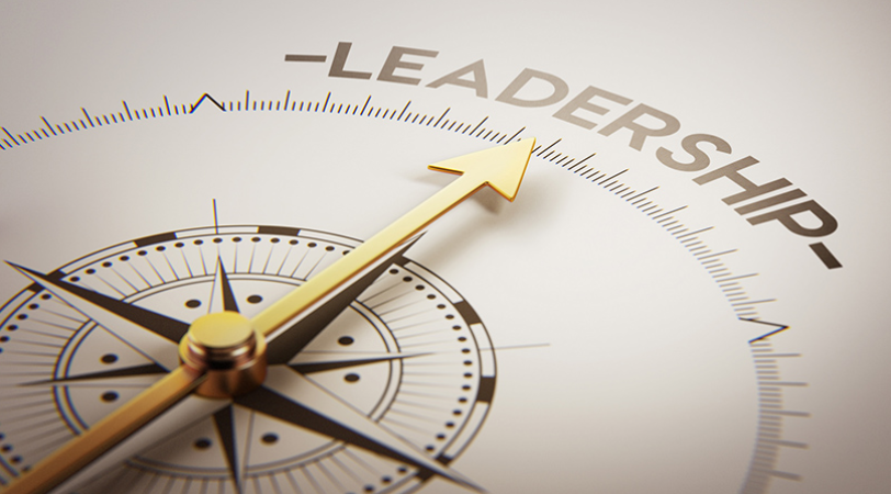 Leadership & Management Development by Shane Stark