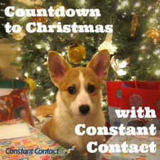 Constant Contact Christmas